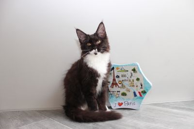 Chloe